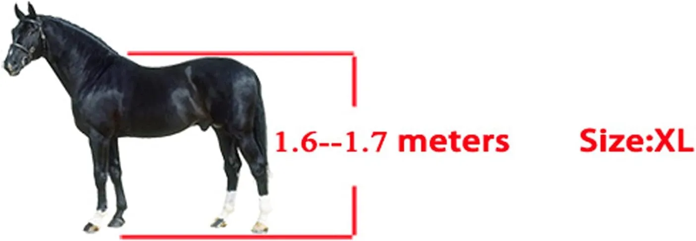 4Pcs Horse Tendon Boots Thicken PU Shell Horse Boots Lightweight Open Front Hind Horse Leg Boots for Riding Shock Absorbing Jumping