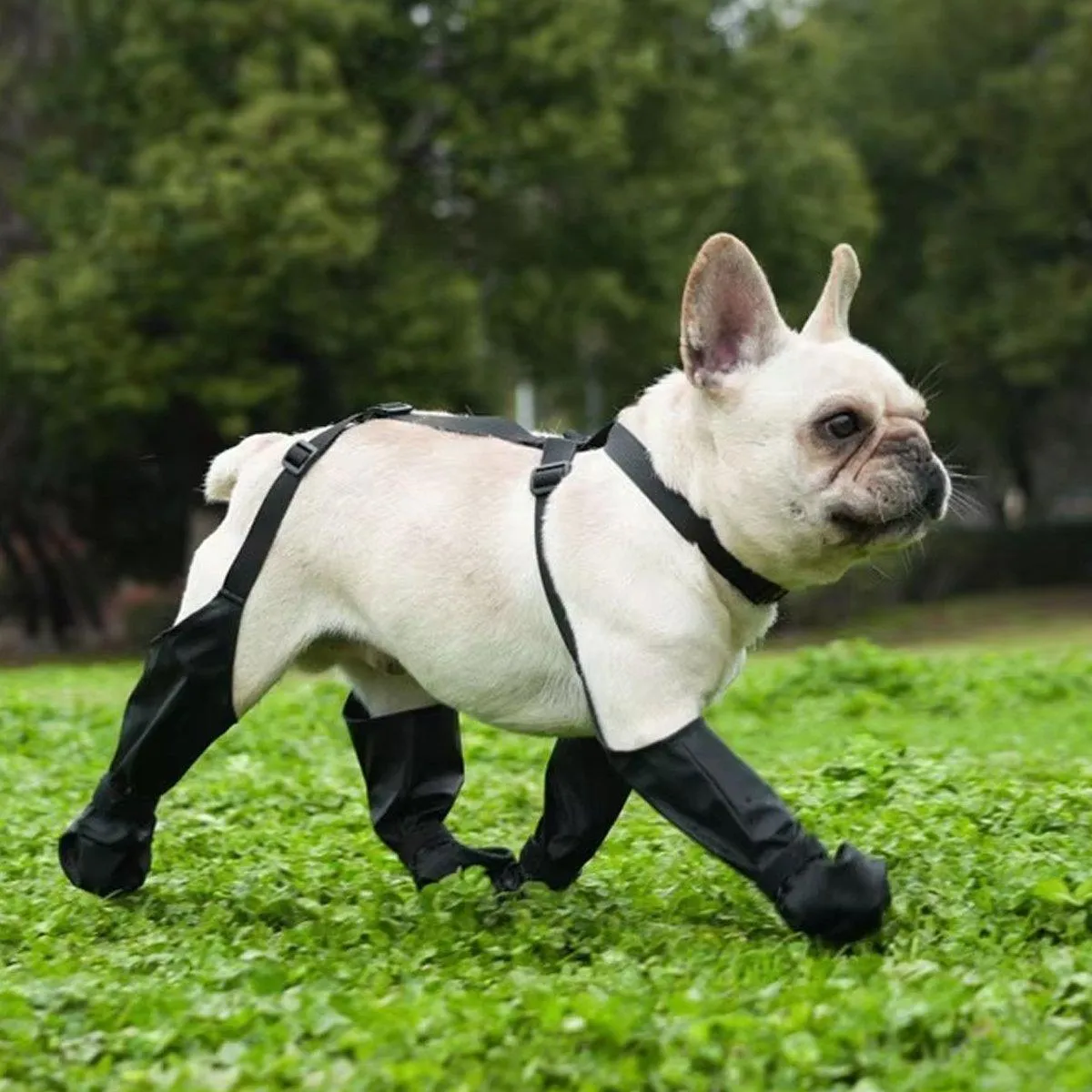 Dog Adjustable Suspender Boots Waterproof Dog Shoes Anti-Slip Pet Paw Protector