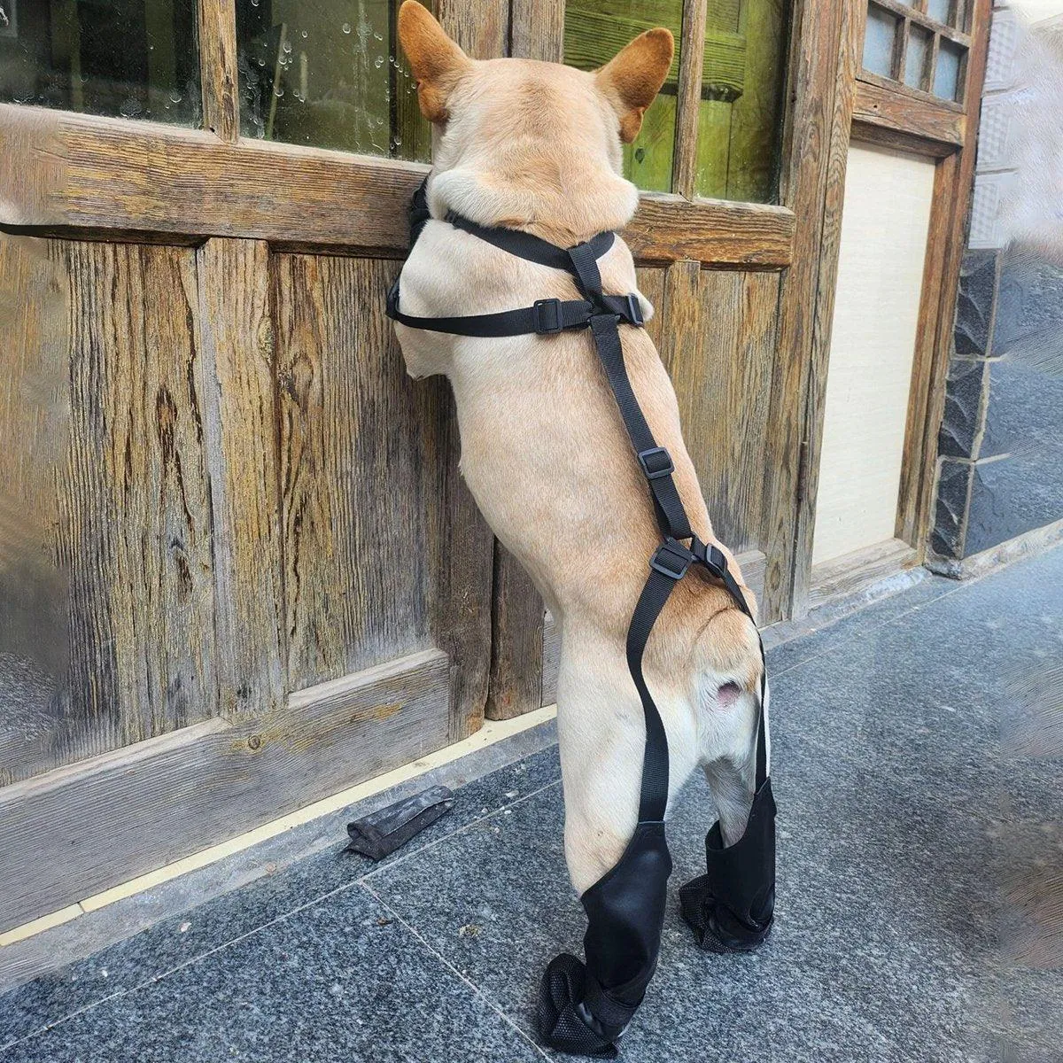 Dog Adjustable Suspender Boots Waterproof Dog Shoes Anti-Slip Pet Paw Protector