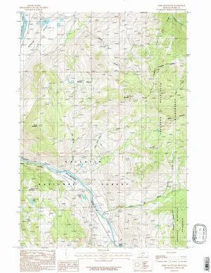 Dome Mountain MT topo map, 1:24000 Scale, 7.5 X 7.5 Minute, Historical, 1986, Updated 1986, 27 x 22 in