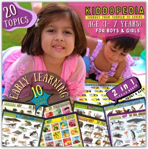 Early Learning 10 Flexile Boards (2in1) Total 20 Topics for Age 1–7-Year Toddlers & Kids