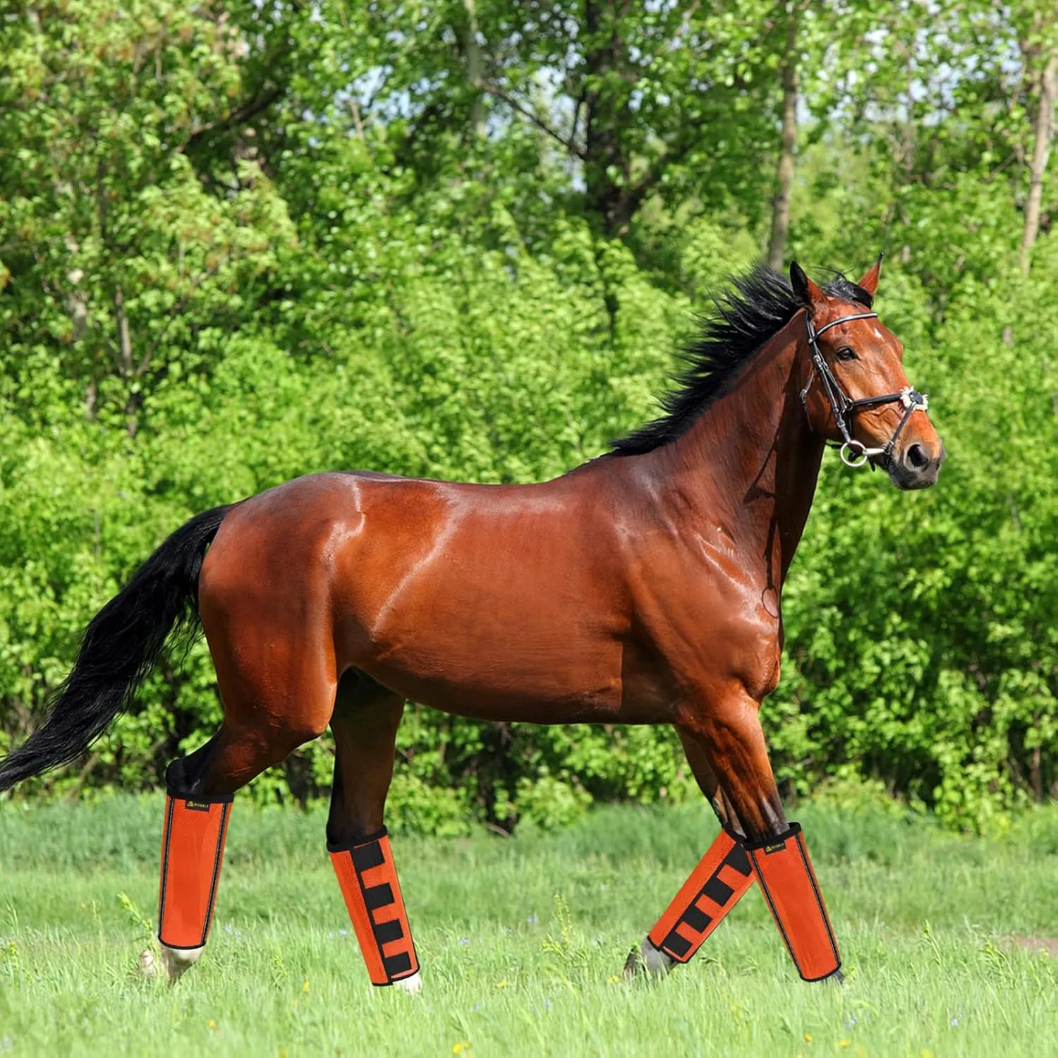Fly Boots for Horses Set of 4,Extra Tough Mesh Horse Fly Boots with 2 Built-in Metal Supports,Breathable Fly Leggings for Horses with Fleece Trimming and Reflective Webbing (Orange, Medium)
