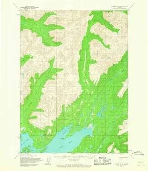 Iliamna D 3 AK topo map, 1:63360 Scale, 15 X 15 Minute, Historical, 1954, Updated 1967, 20.8 x 18 in