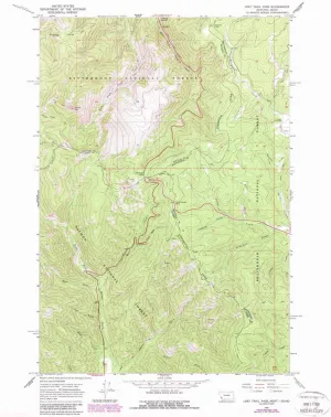 Lost Trail Pass MT topo map, 1:24000 Scale, 7.5 X 7.5 Minute, Historical, 1966, Updated 1989, 26.8 x 22 in