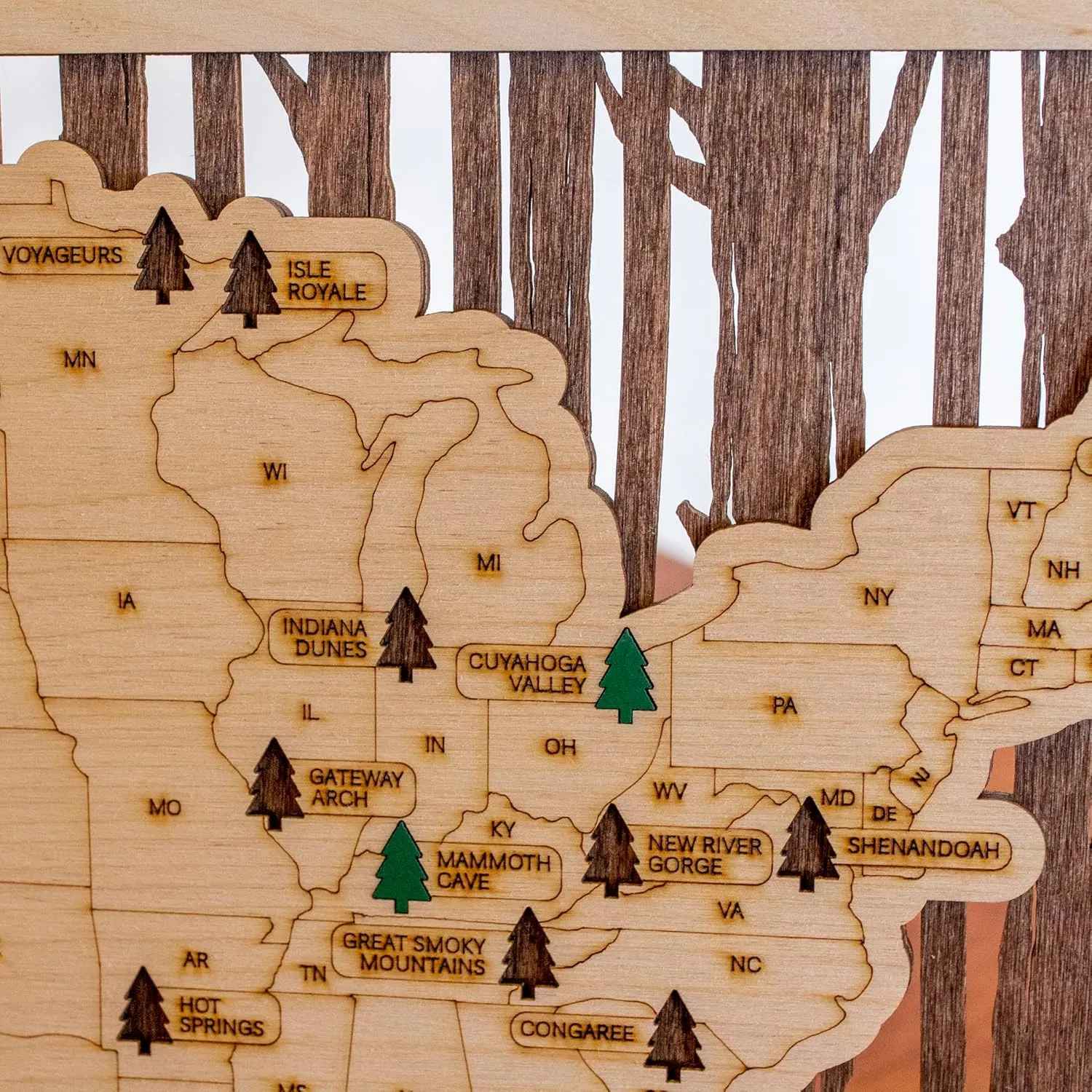 National Park Map (National Park Adventures - Tree Trunk Background)