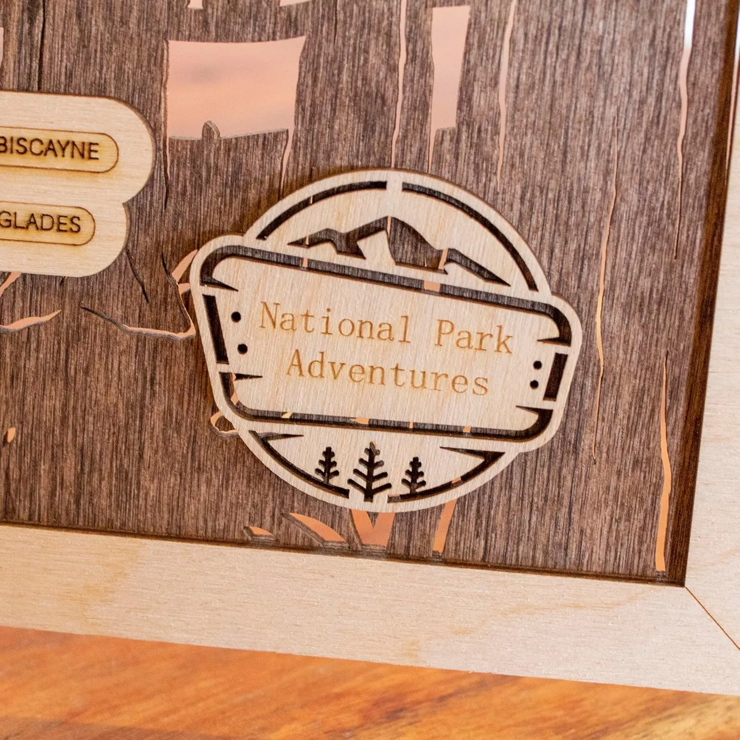 National Park Map (National Park Adventures - Tree Trunk Background)