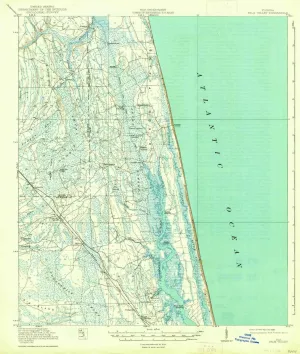 Palm Valley FL topo map, 1:62500 Scale, 15 X 15 Minute, Historical, 1918, Updated 1938, 20 x 16.9 in