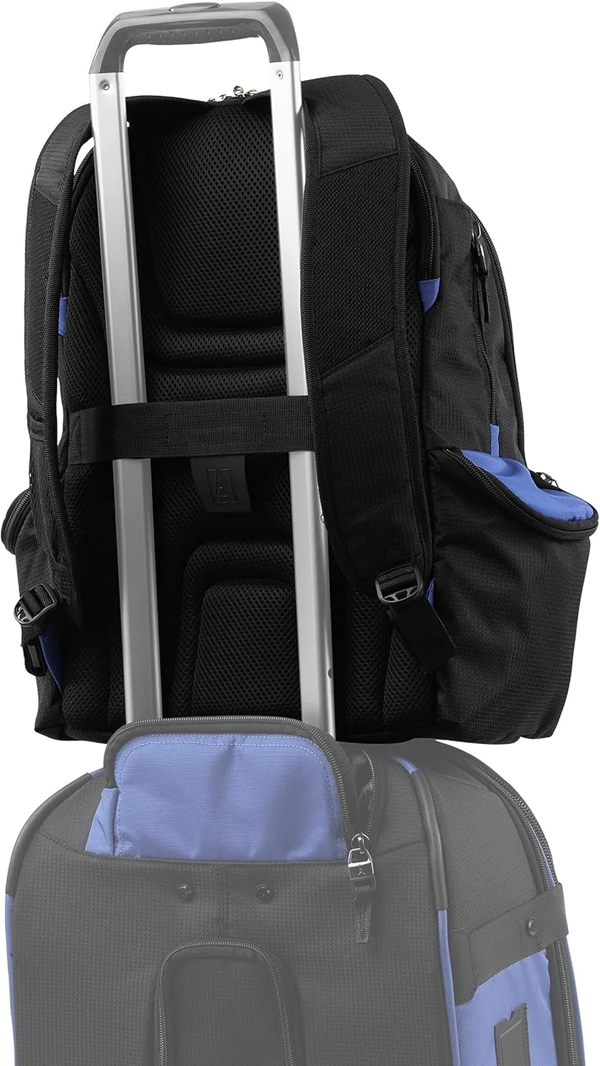 Travelpro Bold Lightweight Rugged Backpack, Fits up to 15.6 inch laptop and tablet sleeve, Blue/Black